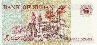 Beschrijving achterzijde: PLANT